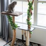 Haz un rascador con ramas para gatos