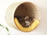 Cesta colgada como refugio felino DIY