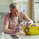 Visita al veterinario transportin y trucos